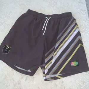 Slunks Pinnacle Men's Volleyball Lined Shorts L Swim